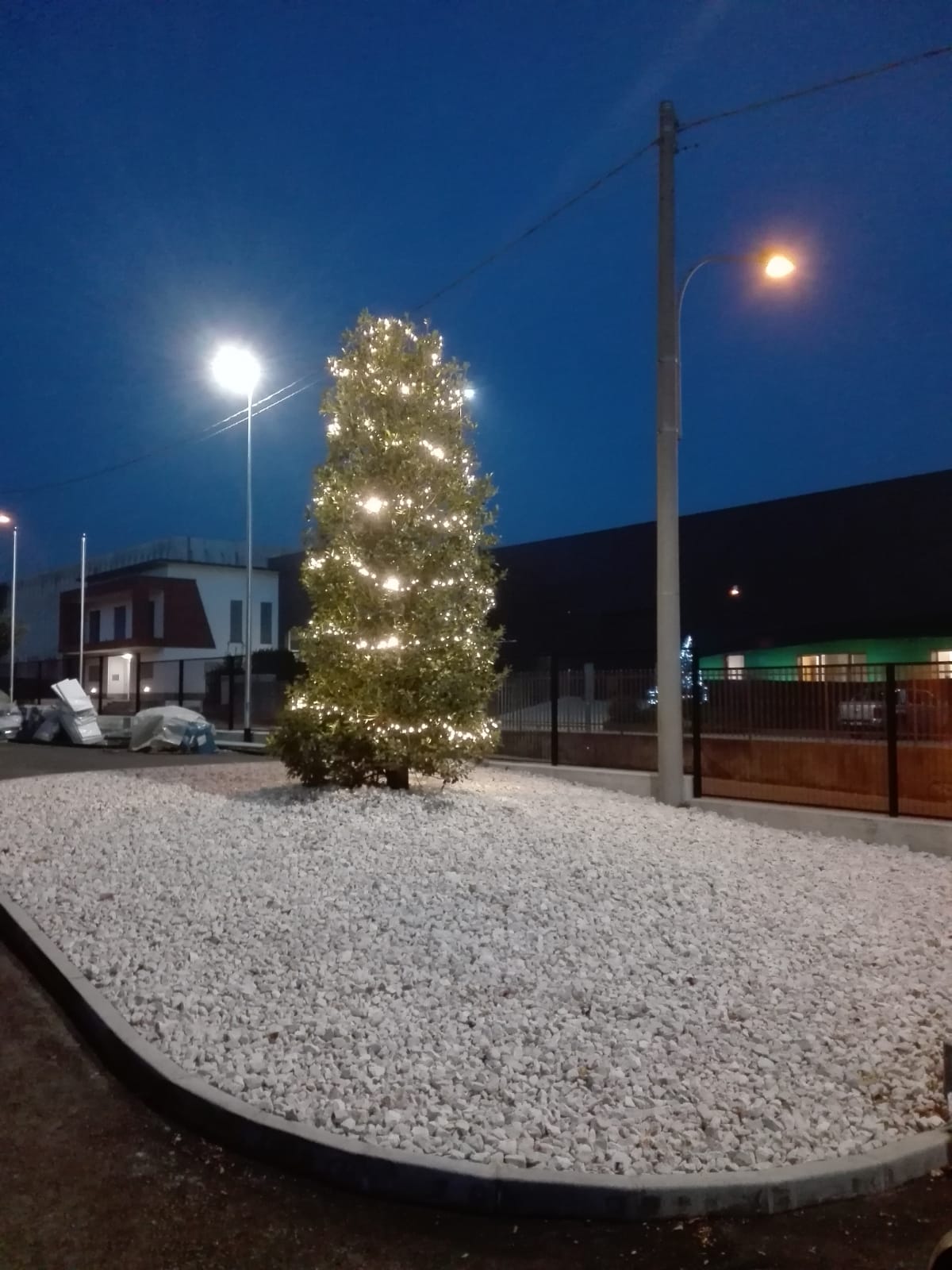 164136390_109841774525269_6561649965173258326_n